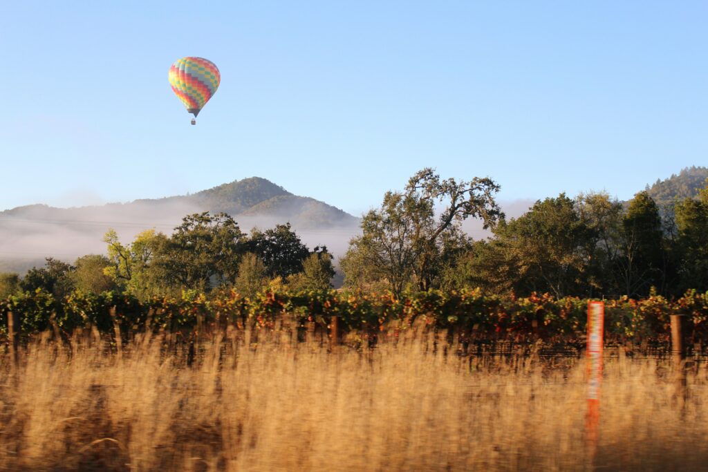 Wine travel itinerary
Best wine destinations
Travel for wine lovers
