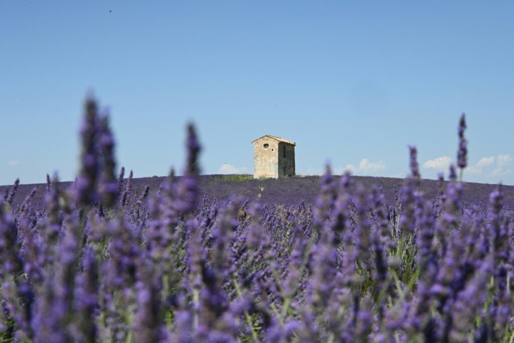Wine travel itinerary
Best wine destinations
Travel for wine lovers
