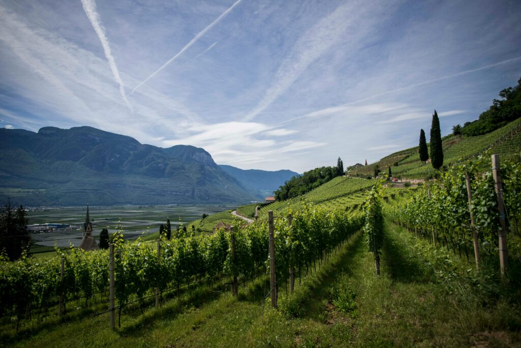 Wine travel itinerary
Best wine destinations
Travel for wine lovers
