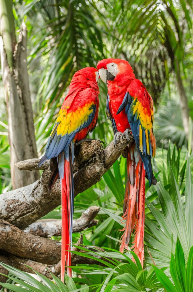 Seasonal Travel, Romance & Milestones, Destination Inspiration, romantic february getaways