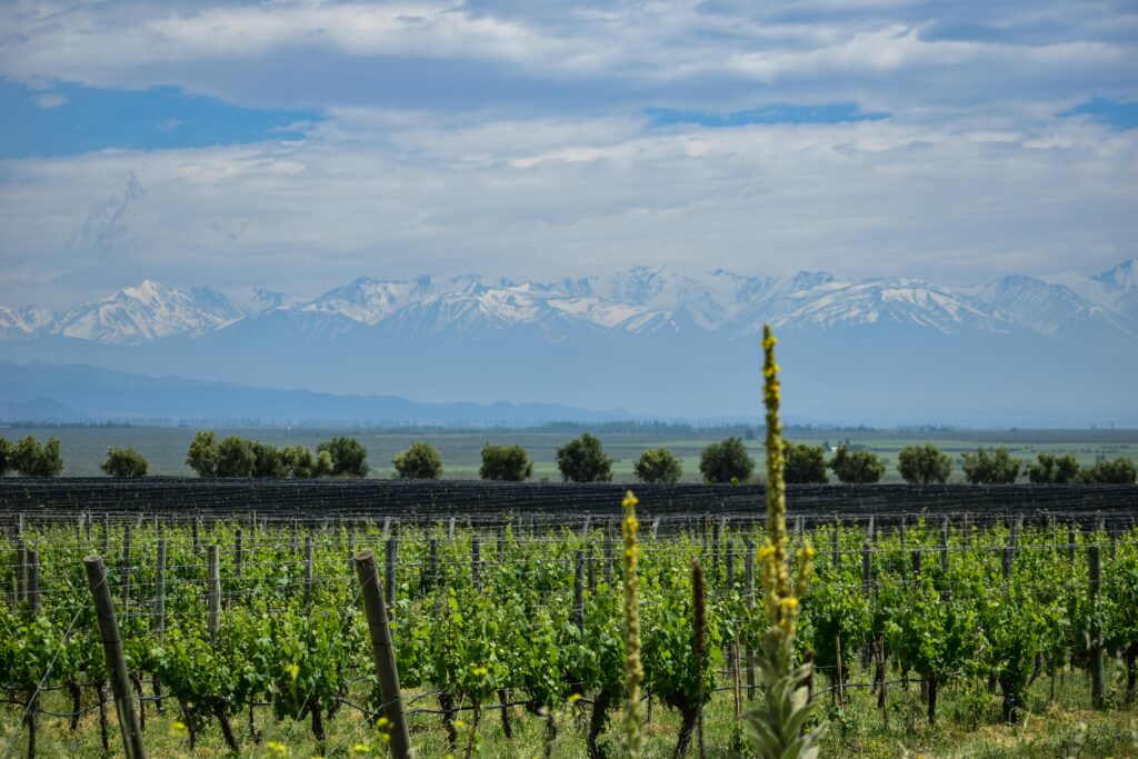 Seasonal Travel, Romance & Milestones, Destination Inspiration, romantic february getaways