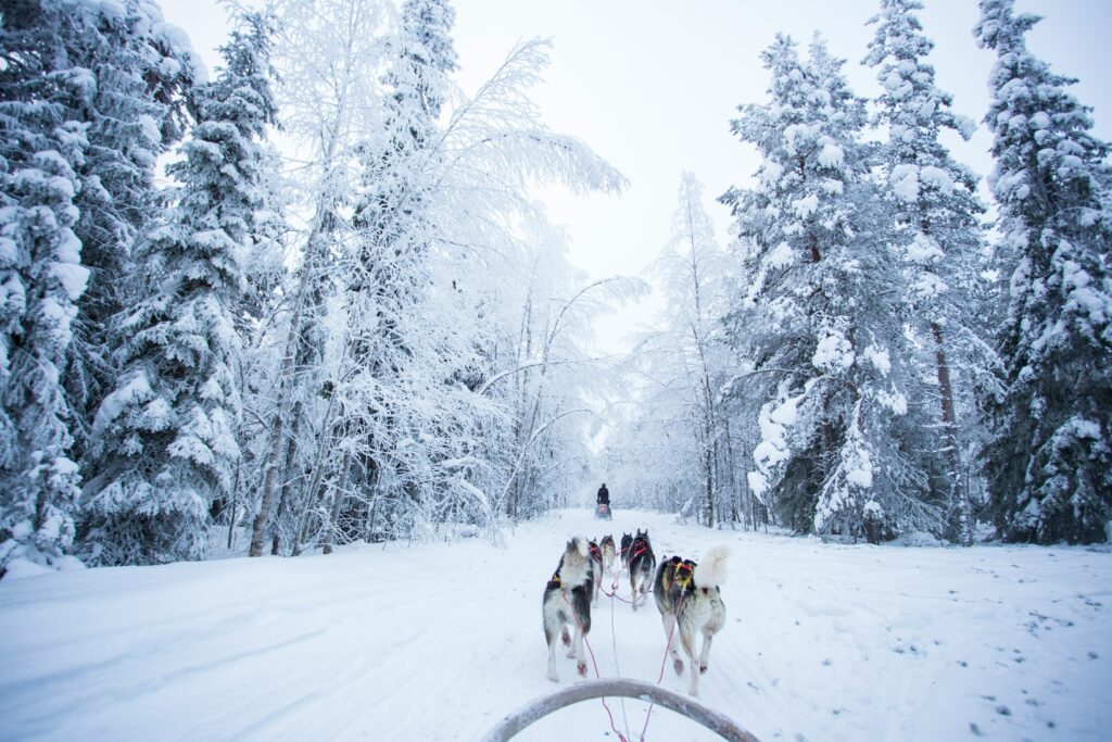 Seasonal Travel, Romance & Milestones, Destination Inspiration, romantic february getaways