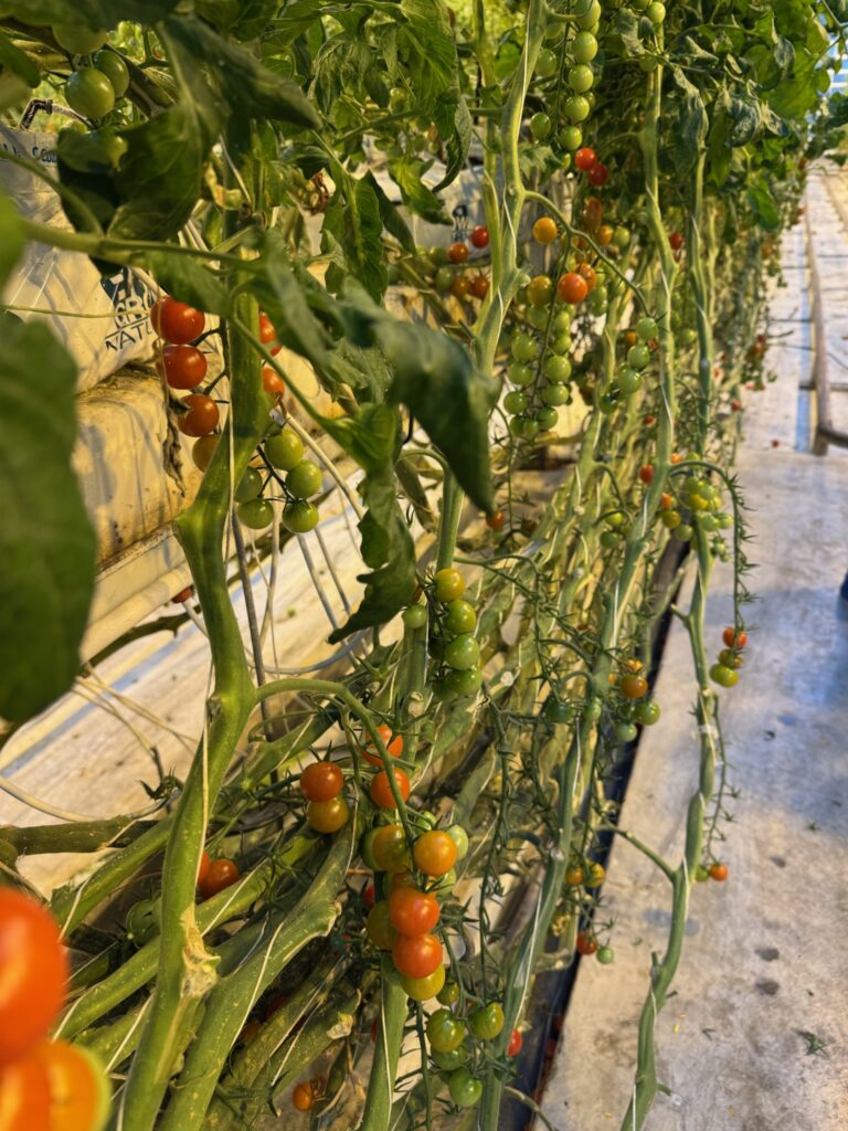 What to Expect When You Travel to Iceland