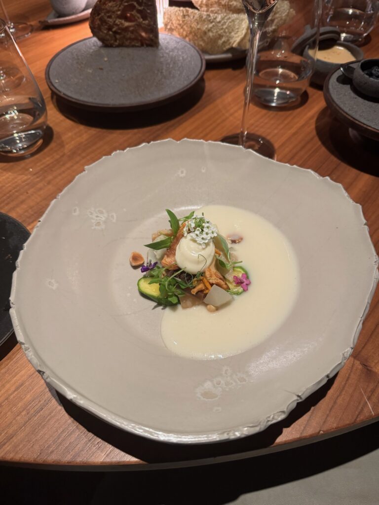 What to Expect When You Travel to Iceland